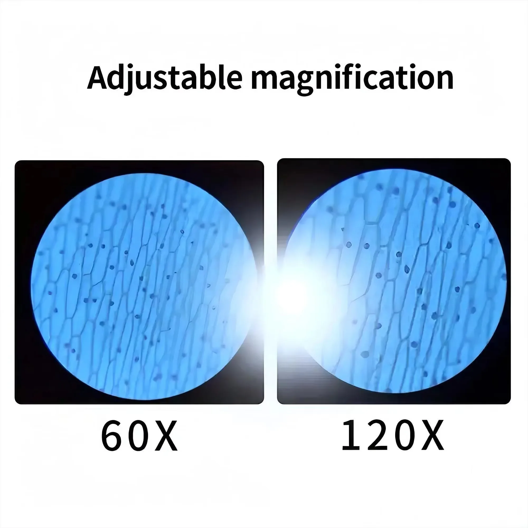 กล้องจุลทรรศน์พกพาขนาดเล็ก 60x - Microscope Kids Science บทวิจารณ์และราคา