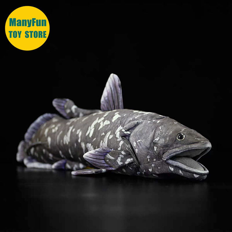 ของเล่นตุ๊กตา Coelacanth ที่สม - Kids Toys Unique บทวิจารณ์และราคา