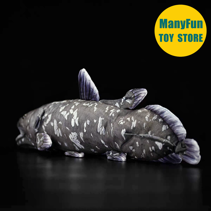 ของเล่นตุ๊กตา Coelacanth ที่สม - Kids Toys Unique บทวิจารณ์และราคา