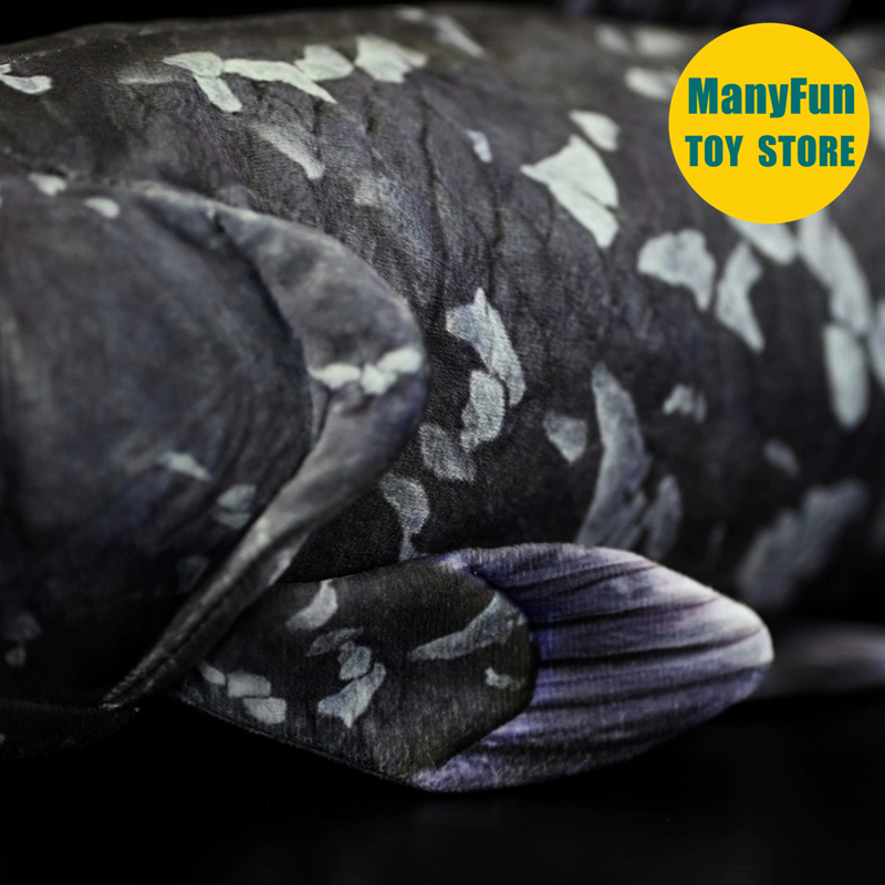 ของเล่นตุ๊กตา Coelacanth ที่สม - Kids Toys Unique บทวิจารณ์และราคา