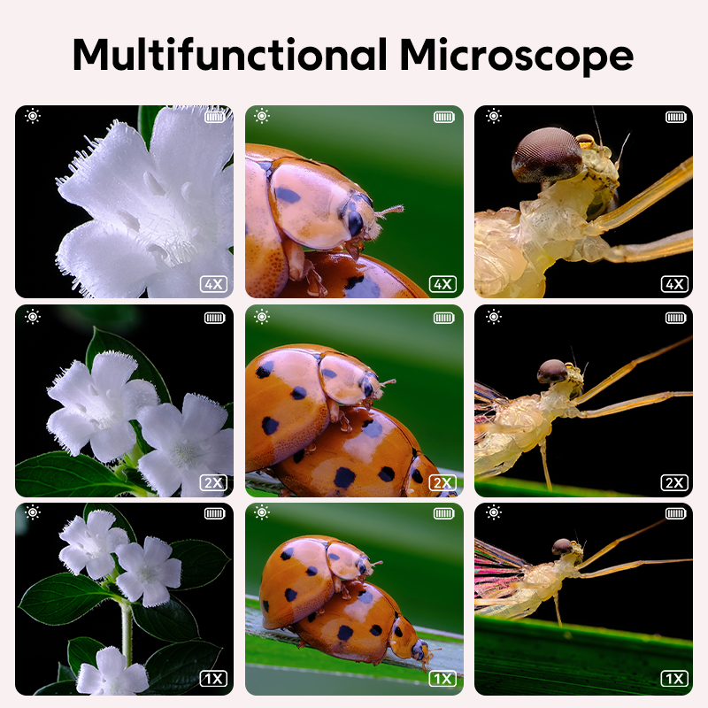 Mini Kids กล้องจุลทรรศน์แสงพร้ - Microscope Kids Science บทวิจารณ์และราคา