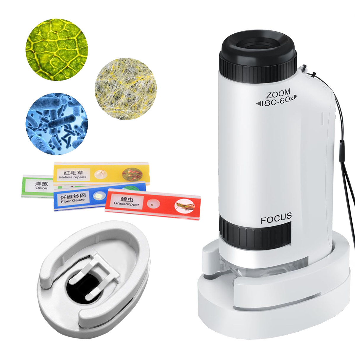 ชุดของเล่นมือถือกล้องจุลทรรศน์ - Microscope Kids Science บทวิจารณ์และราคา